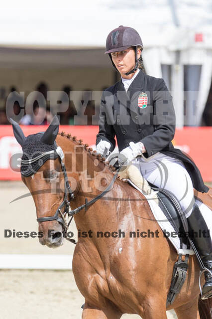 FEI European Championship Eventing 2017