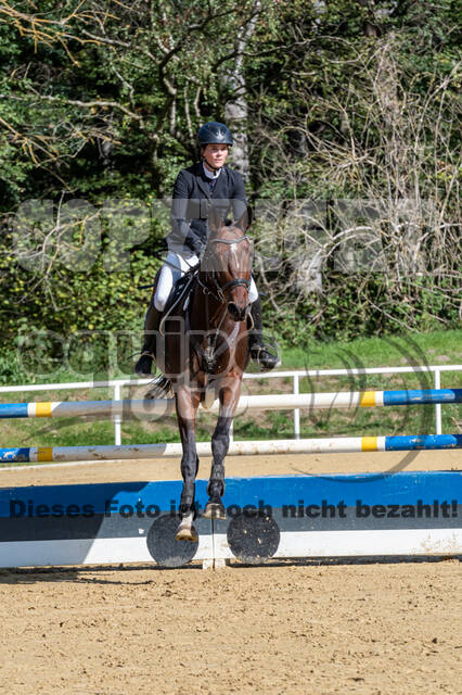 RFV Dinslaken-Hiesfeld (Herbstturnier)