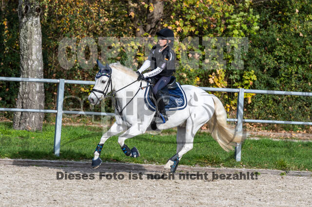 IGV Lehrgang der Sieger der Cups mit Frank Ostholt
