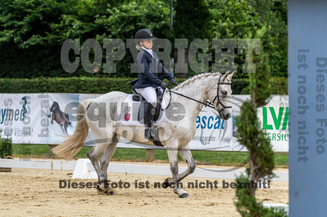 Goldene Schärpe 2021 - Ponys
