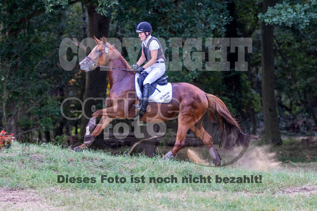 Late-Entry Vielseitigkeit Hamminkeln/Wesel (01.+02.08.2020)