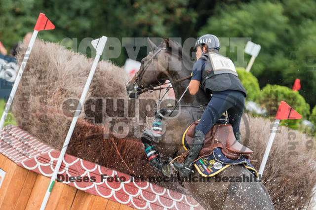 FEI European Championship