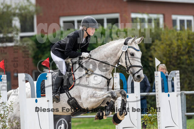 Goldene Schärpe 2020 - Pferde