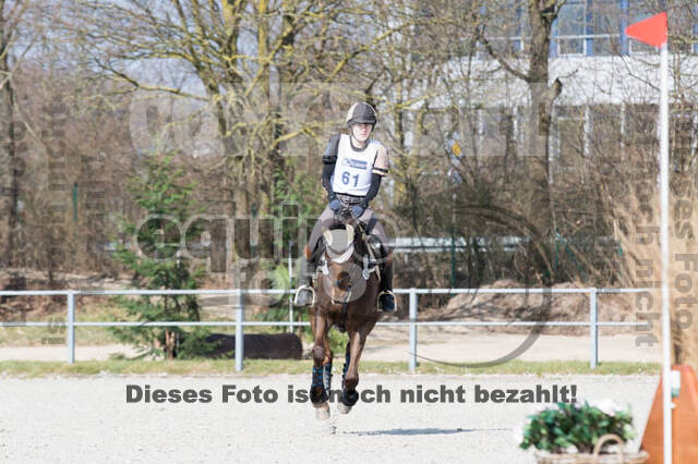 Eventing Langenfeld 2018
