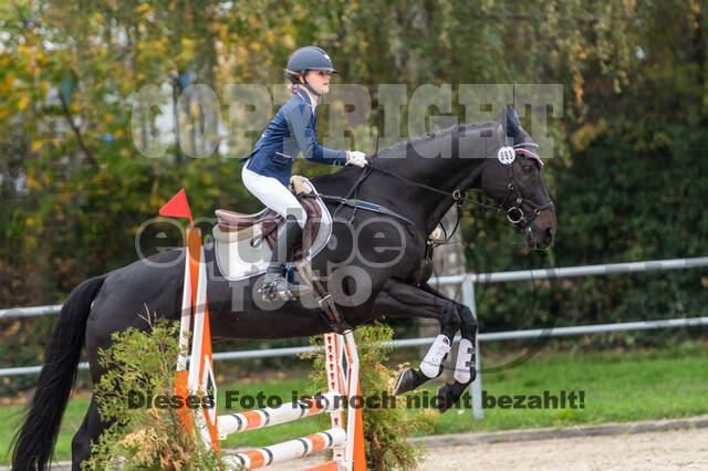 Reiter Schleswig-Holstein