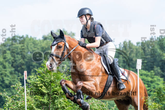 Goldene Schärpe 2021 - Ponys