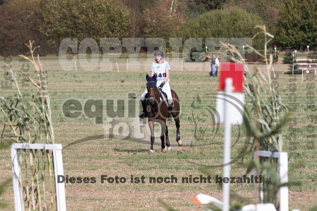 IGV Kleve - Vielseitigkeitsturnier