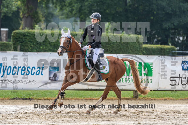 Goldene Schärpe 2021 - Ponys