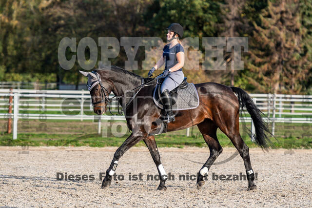 IGV Lehrgang der Sieger der Cups mit Frank Ostholt
