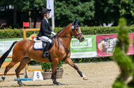 Goldene Schärpe 2021 - Ponys