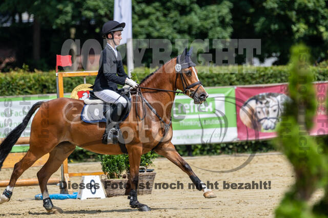 Goldene Schärpe 2021 - Ponys
