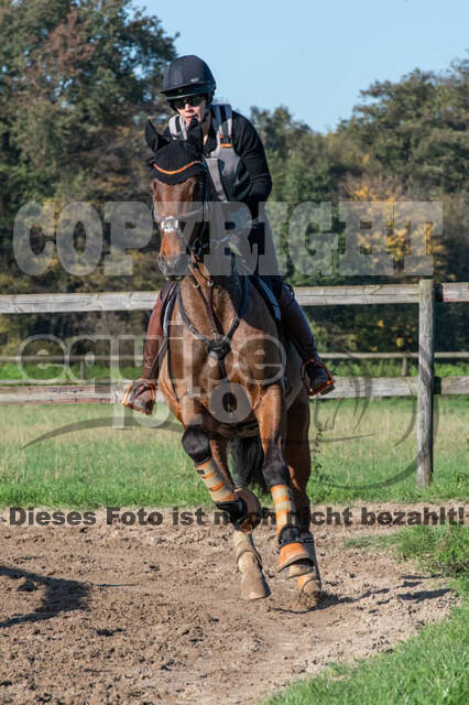Vielseitigkeitslehrgang mit Jürg Kurbel (9.+10.11.2019)