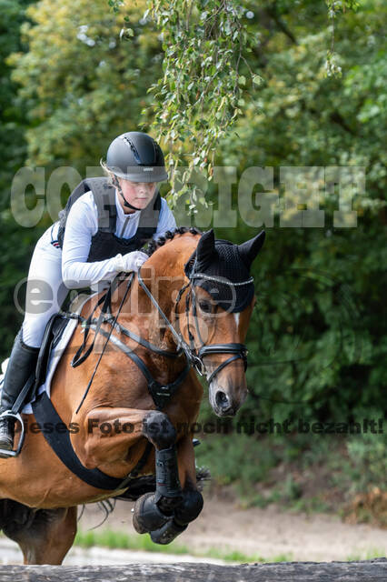 Late-Entry-Vielseitigkeit Langenfeld (06.+07.07.2020)