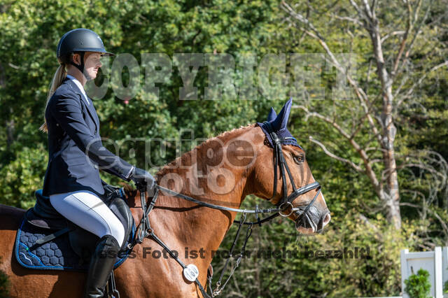 RFV Dinslaken-Hiesfeld (Herbstturnier)