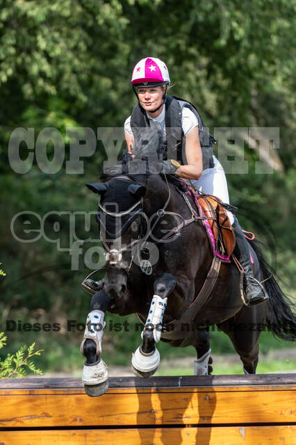 Late-Entry-Vielseitigkeit Langenfeld (06.+07.07.2020)