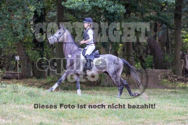 Late-Entry Vielseitigkeit Hamminkeln/Wesel (01.+02.08.2020)