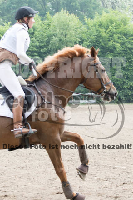 Vielseitigkeitsturnier ZRFV von Lützow Hamminkeln