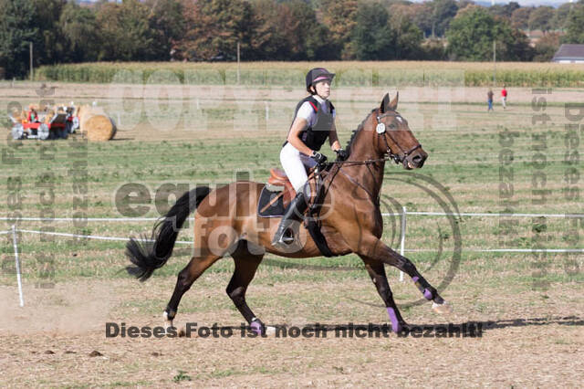 IGV Kleve