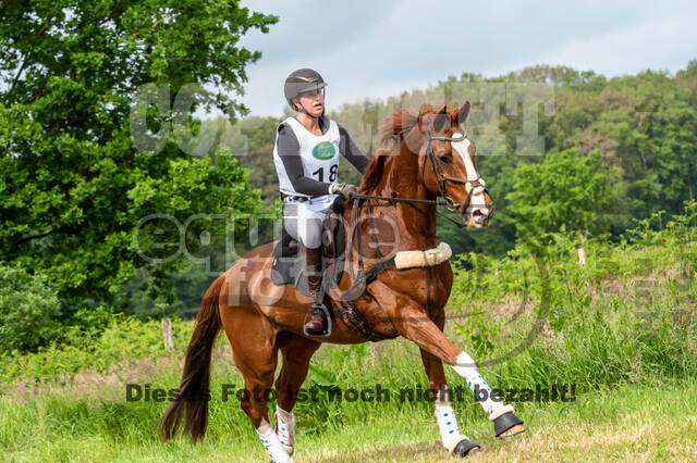 Westerstede Horse Trials 2021