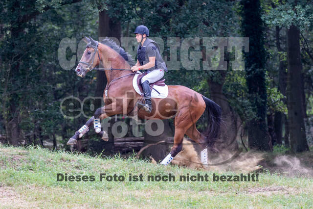 Late-Entry Vielseitigkeit Hamminkeln/Wesel (01.+02.08.2020)