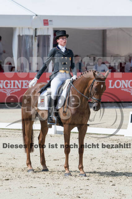 FEI European Championship Eventing 2017