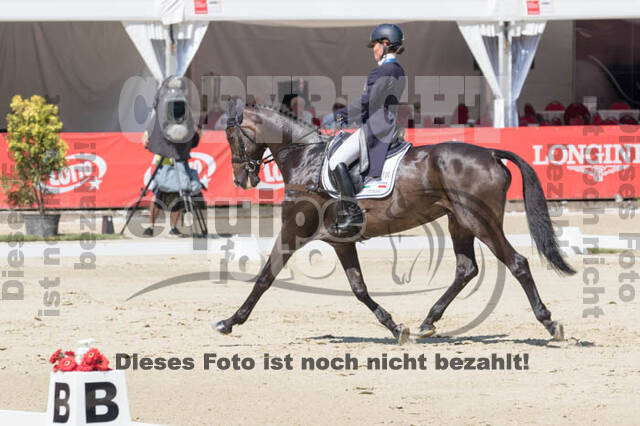 FEI European Championship
