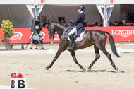 FEI European Championship