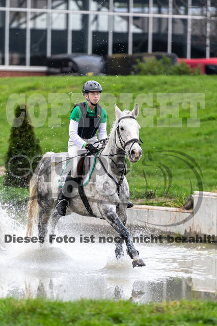 Goldene Schärpe 2020 - Pferde