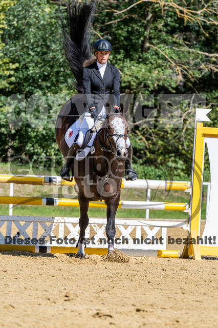 RFV Dinslaken-Hiesfeld (Herbstturnier)
