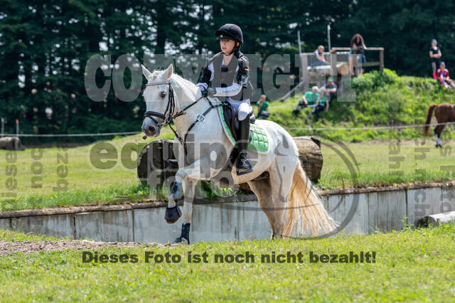 Goldene Schärpe 2021 - Ponys