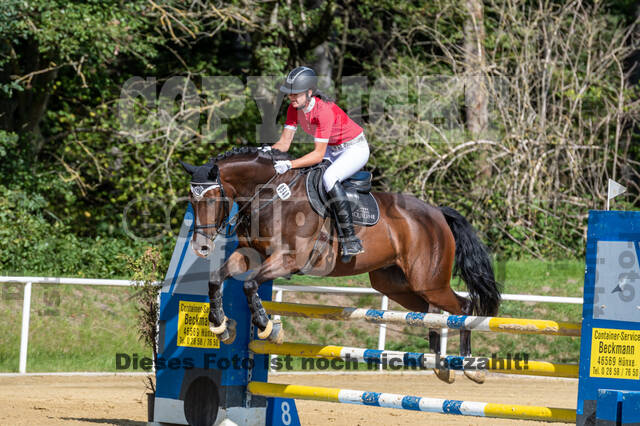 RFV Dinslaken-Hiesfeld (Herbstturnier)