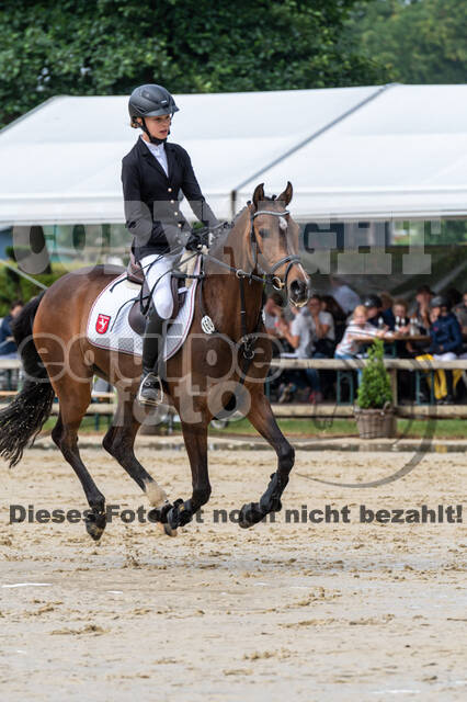 Goldene Schärpe 2021 - Ponys