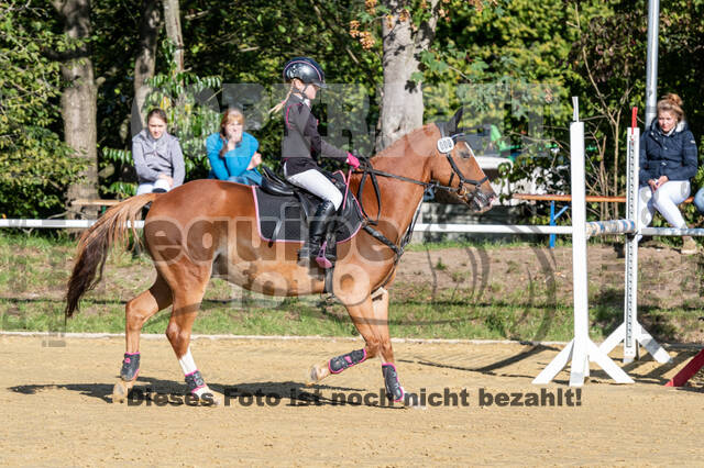 RFV Dinslaken-Hiesfeld (Herbstturnier)