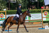 Goldene Schärpe 2021 - Ponys