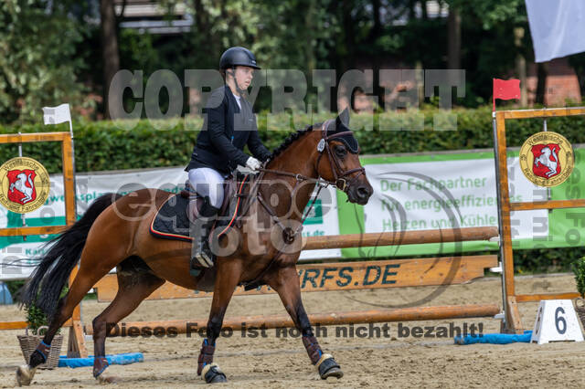 Goldene Schärpe 2021 - Ponys