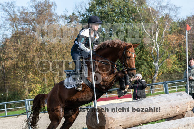 IGV Lehrgang der Sieger der Cups mit Frank Ostholt
