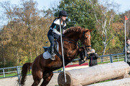 IGV Lehrgang der Sieger der Cups mit Frank Ostholt