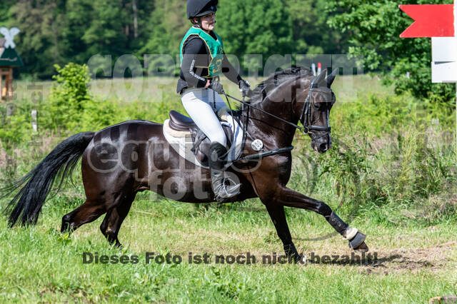 Westerstede Horse Trials (10.-13.06.2021)