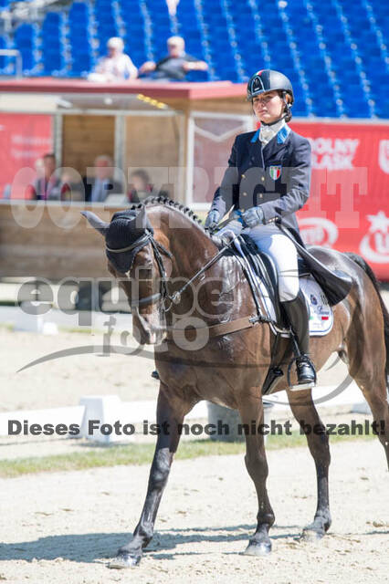 FEI European Championship