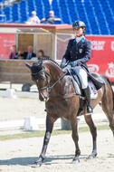 FEI European Championship