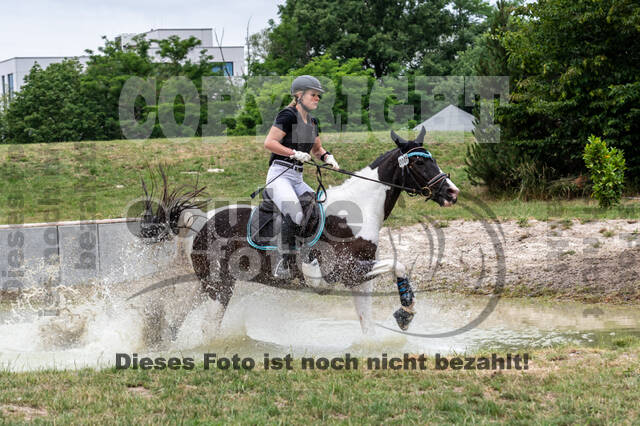 Late-Entry-Vielseitigkeit Langenfeld (11.+13./14.06.2020)