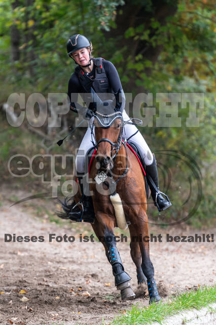 Goldene Schärpe 2020 - Pferde