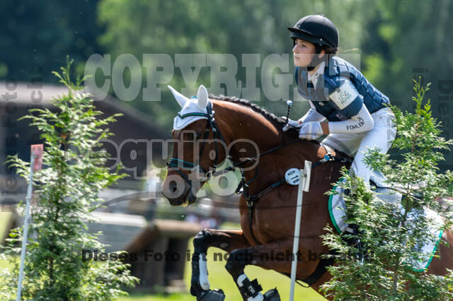 Goldene Schärpe 2021 - Ponys