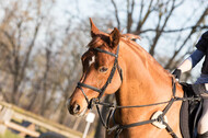 Geländetraining Hamminkeln, Karfreitag