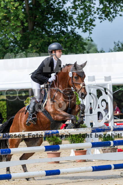 Goldene Schärpe 2021 - Ponys