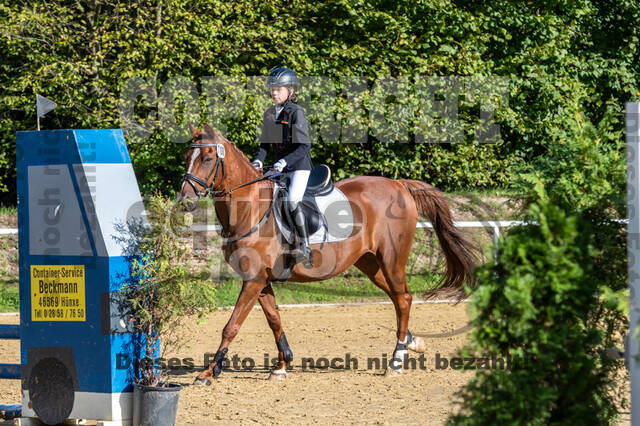 RFV Dinslaken-Hiesfeld (Herbstturnier)