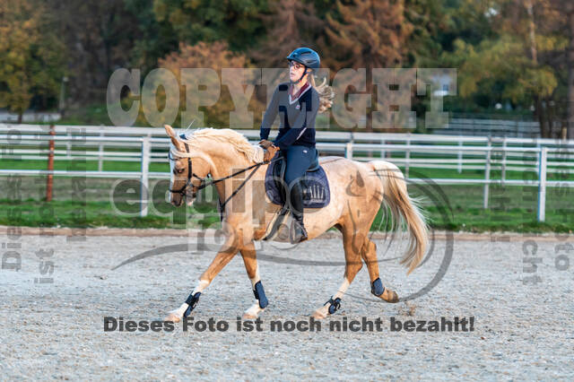 IGV Lehrgang der Sieger der Cups mit Frank Ostholt