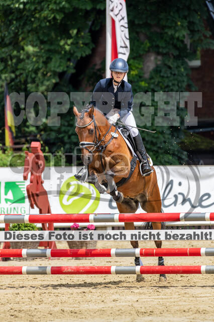 Goldene Schärpe 2021 - Ponys