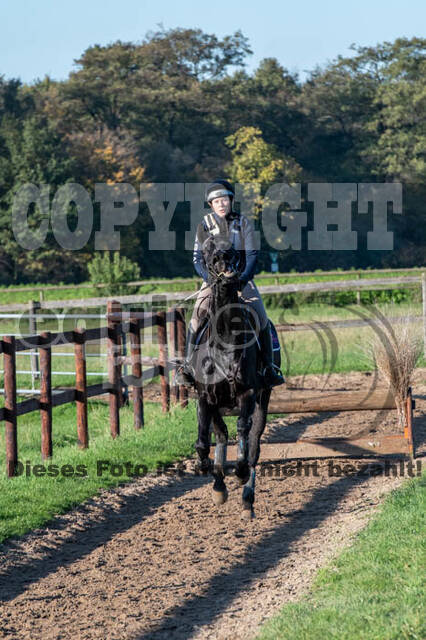 Vielseitigkeitslehrgang mit Jürg Kurbel (9.+10.11.2019)
