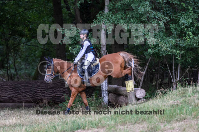 Late-Entry Vielseitigkeit Hamminkeln/Wesel (01.+02.08.2020)